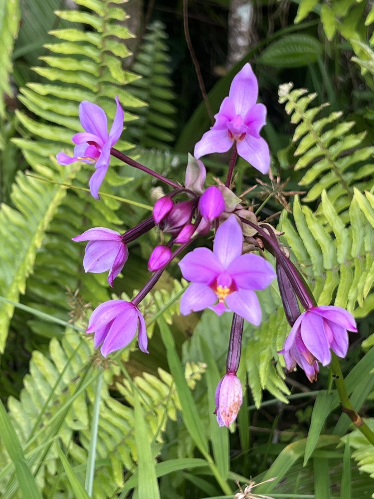 Nature photo