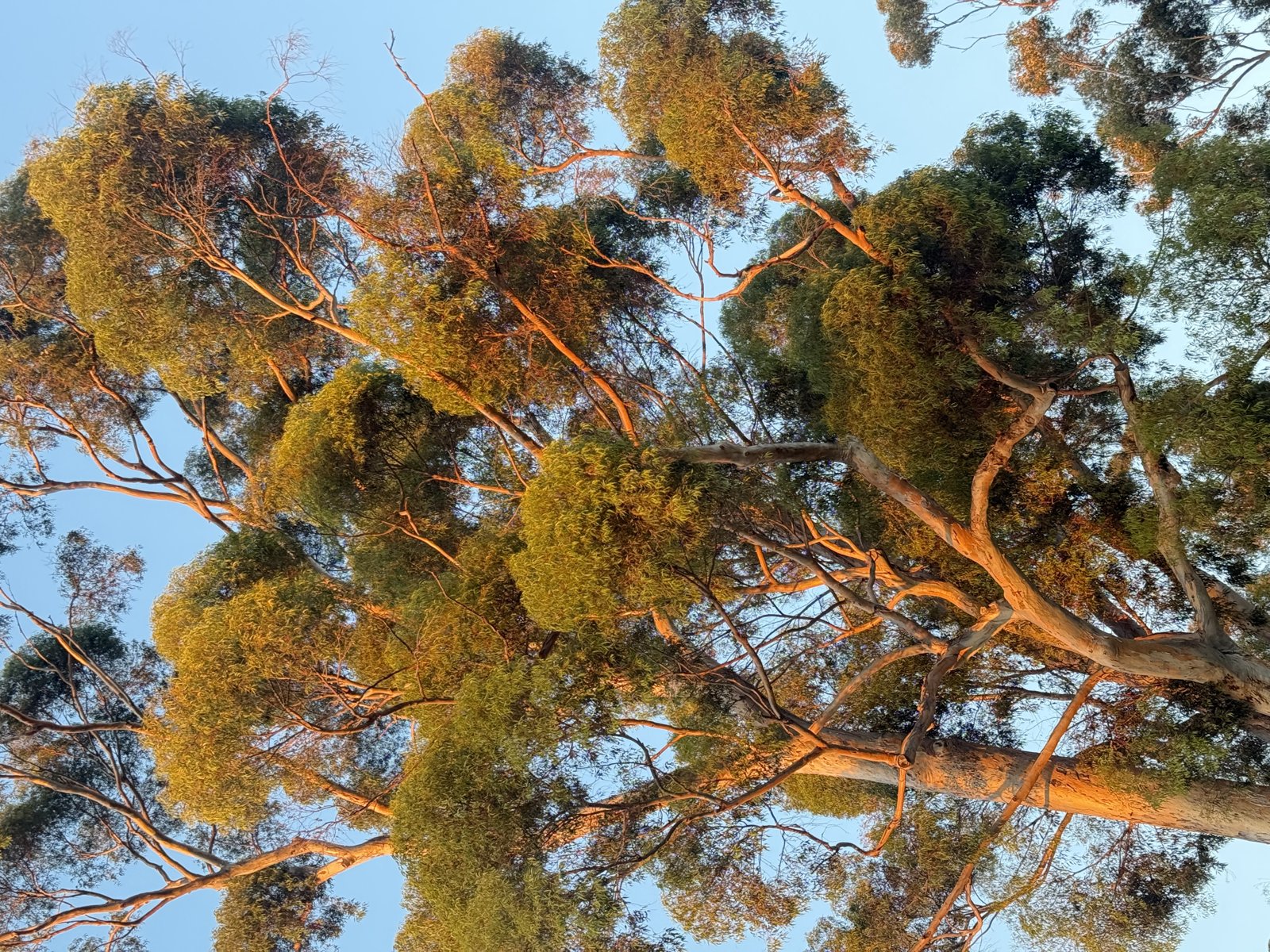 Nature photo